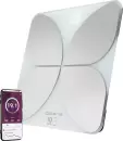 Напольные весы Polaris PWS 2081DG IQ Home icon