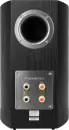 Полочная акустика Premiera DS-601 (черный) icon 2