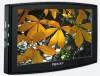 Автомобильный телевизор Prology HDTV-80L icon