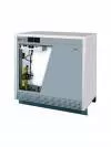 Газовый котёл Protherm 65KLO Гризли icon