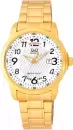 Наручные часы Q&#38;Q A184J004Y icon