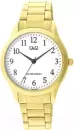 Наручные часы Q&#38;Q C02AJ006Y icon
