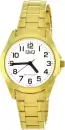 Наручные часы Q&#38;Q C05AJ005Y icon