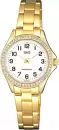Наручные часы Q&#38;Q C223J004Y icon