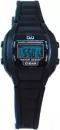 Наручные часы Q&#38;Q LL01J105Y icon