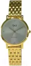 Наручные часы Q&#38;Q QA21J021Y icon