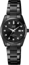Наручные часы Q&#38;Q QZ13J402Y icon