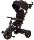 Трехколесный велосипед QPlay Prime2BK (черный) icon