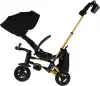 Велосипед детский QPlay Rider Sl S700-17 (черный/золото) фото 3
