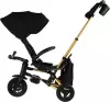 Велосипед детский QPlay Rider Sl S700-17 (черный/золото) фото 4