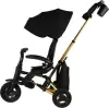 Велосипед детский QPlay Rider Sl S700-17 (черный/золото) фото 5