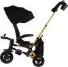 Велосипед детский QPlay Rider Sl S700-17 (черный/золото) фото 6
