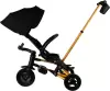Детский велосипед QPlaySprinter Sl S700-17 (черный/золото) icon 5