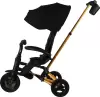 Детский велосипед QPlaySprinter Sl S700-17 (черный/золото) icon 8
