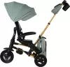 Детский велосипед QPlaySprinter Sl S700-17 (мятный/золото) icon 4