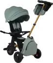 Детский велосипед QPlaySprinter Sl S700-17 (мятный/золото) icon 6