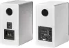 Полочная акустика Radiotehnika S-20NA (белый) icon 2