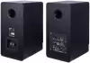 Полочная акустика Radiotehnika S-20NA MKII (черный) фото 3