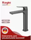 Смеситель Raglo R07.15.09 icon 3