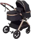 Детская универсальная коляска Rant Basic Roller Gold RA161 (2 в 1, black) icon