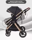 Детская универсальная коляска Rant Basic Roller Gold RA161 (2 в 1, black) icon 6