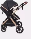 Детская универсальная коляска Rant Basic Roller Gold RA161 (2 в 1, black) icon 7