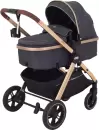 Детская универсальная коляска Rant Basic Roller Gold RA161 (2 в 1, grey) icon