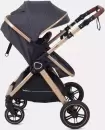 Детская универсальная коляска Rant Basic Roller Gold RA161 (2 в 1, grey) icon 10