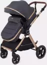 Детская универсальная коляска Rant Basic Roller Gold RA161 (2 в 1, grey) icon 2