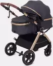 Детская универсальная коляска Rant Basic Roller Gold RA161 (2 в 1, grey) icon 5