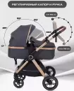 Детская универсальная коляска Rant Basic Roller Gold RA161 (2 в 1, grey) icon 8