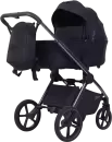 Детская универсальная коляска Rant Falcon Soft Therm 2 в 1 / RA111 (Black) icon