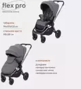 Детская прогулочная коляска Rant Flex Pro 2023 / RA099 (серый) icon 3