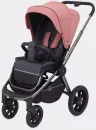 Детская универсальная коляска Rant Flex Pro 3 в 1 2023 / RA075 (pink) фото 2