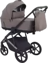 Детская универсальная коляска Rant Garda 2 в 1 RA114 (Mocca) icon