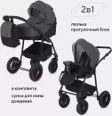 Детская универсальная коляска Rant Siena New 2 в 1 (01 графит/серый) icon 2