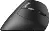 Вертикальная мышь Rapoo EV250 (черный) icon 2