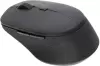 Компьютерная мышь Rapoo M300 2024 (черный) icon 3