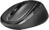 Мышь Rapoo M500 Silent (черный) фото 5