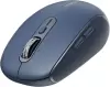 Мышь Rapoo M590 Silent (синий) фото 2
