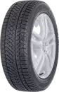 Зимняя шина Rauffan Snowmaster W2 205/55R17 95H icon