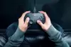 Геймпад Razer Wolverine V3 Tournament Edition (черный) icon 7