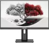 Монитор RDW Computers 2401K/F00B3100V2A1H icon