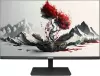 Монитор RDW Computers 2401K/F00В0100V2A1H icon