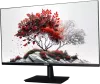 Монитор RDW Computers 2401K/F00В3100V2A1H icon 2