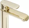 Смеситель Rea Bloom Mirror Gold B6201 фото 2