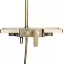 Душевая система Rea Bravo gold matt P4121 icon 5
