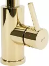 Смеситель Rea Fresh Gold B0669 icon 4