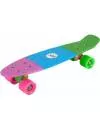 Пенниборд RGX PNB-05 green/blue/pink icon