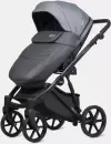 Детская универсальная коляска Riko Montana 2 в 1 Plus (40, графитовый/серый) icon 6